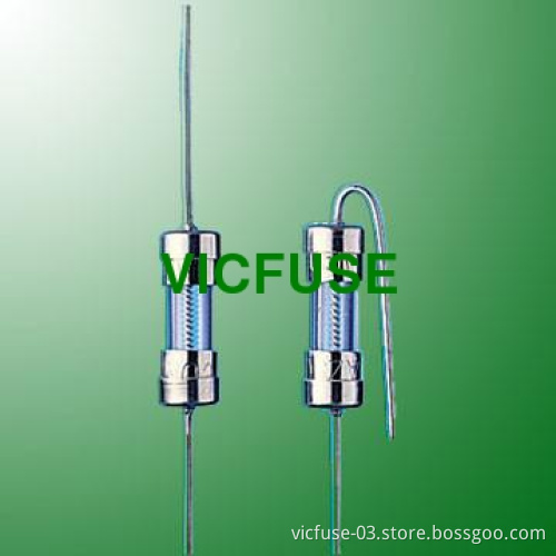 Time-Lag Glass Tube Fuse